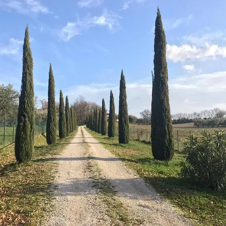 Agriturismo La Lampada Di Atena *